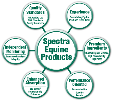 Spectra Equine Products – 