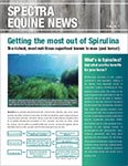 Spectra Equine Newsletter – Volume 1