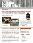 Spectra Equine Newsletter – Volume 4