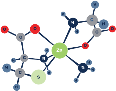 Zn (Zinc) molecules