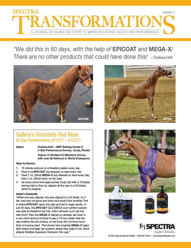 Spectra Equine Newsletter – Volume 1