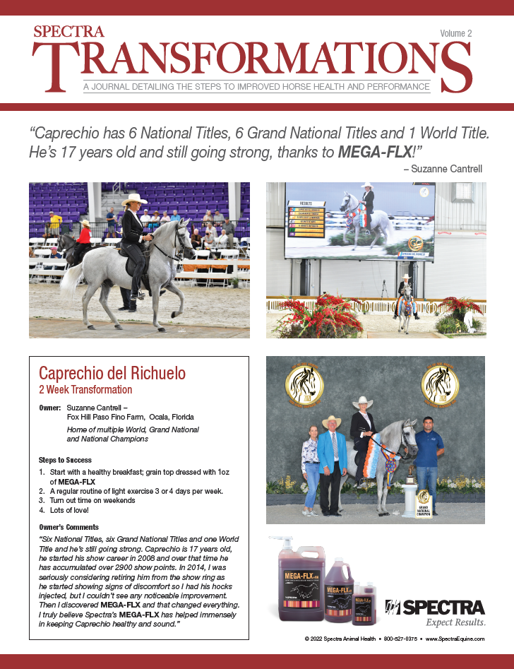 Spectra Equine Newsletter – Volume 1